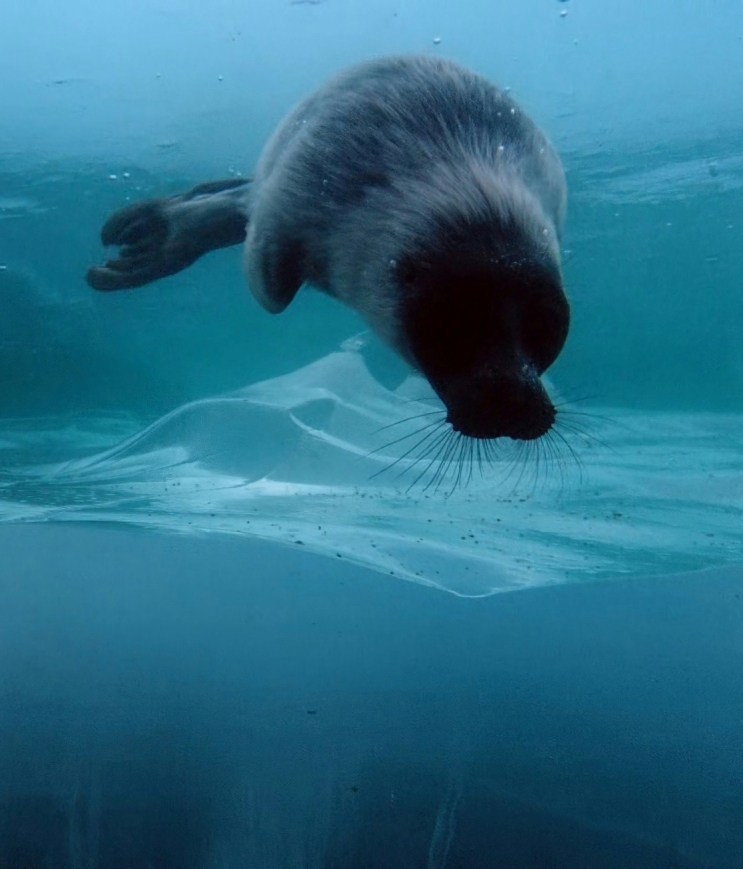 Природа и климат